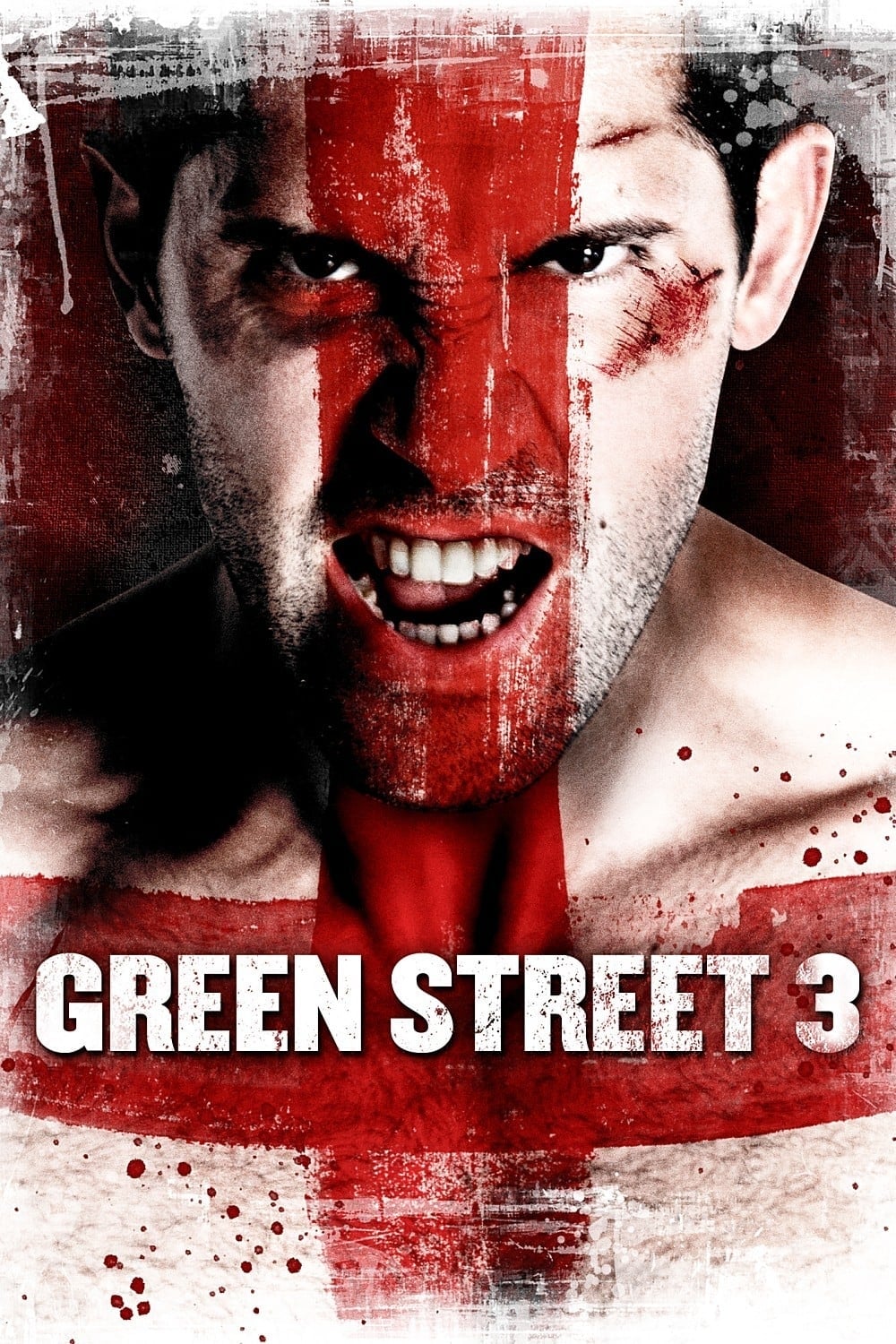 Poster: Green Street 3: Never Back Down